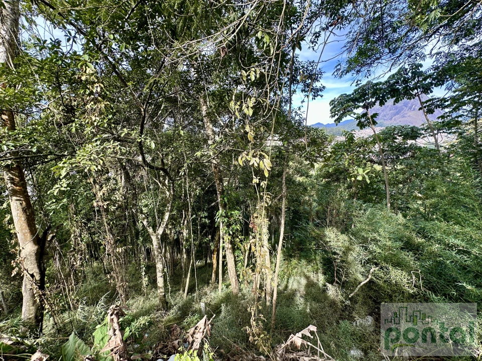 Imagens do imóveis Terreno À Venda Centro Nova Friburgo