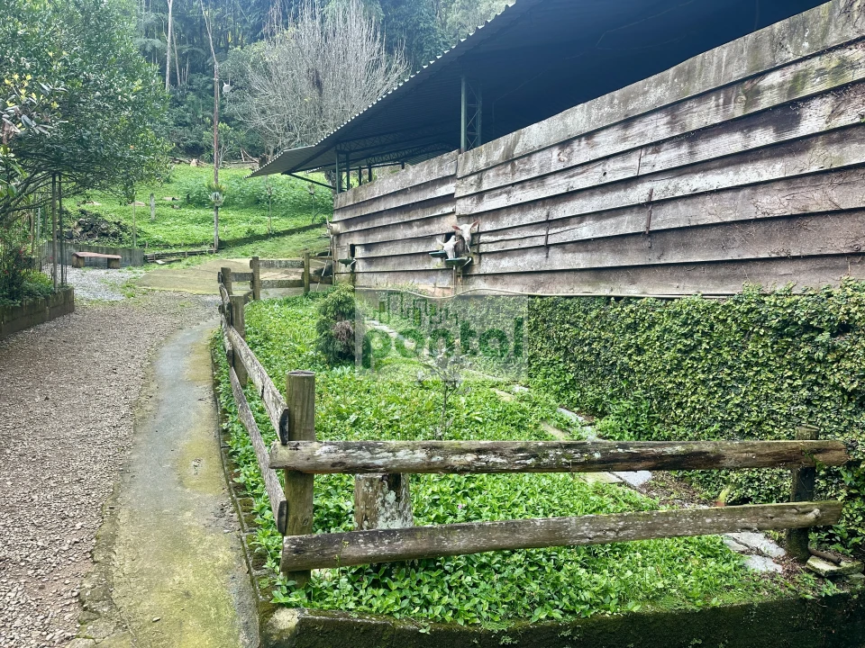 Imagens do imóveis Sítio à venda nas Braunes - Nova Friburgo