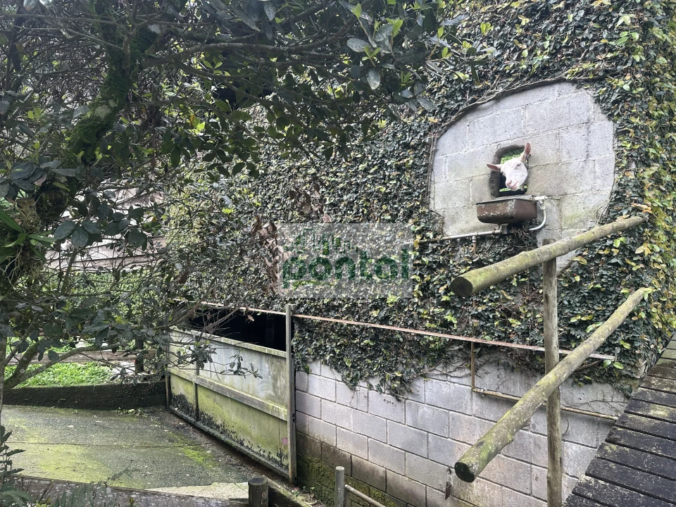 Imagens do imóveis Sítio à venda nas Braunes - Nova Friburgo