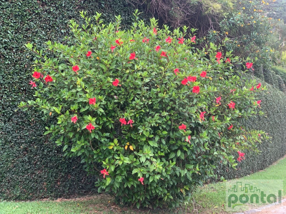 Terreno Em Condomínio À Venda Condomínio Canton Vert Nova Friburgo