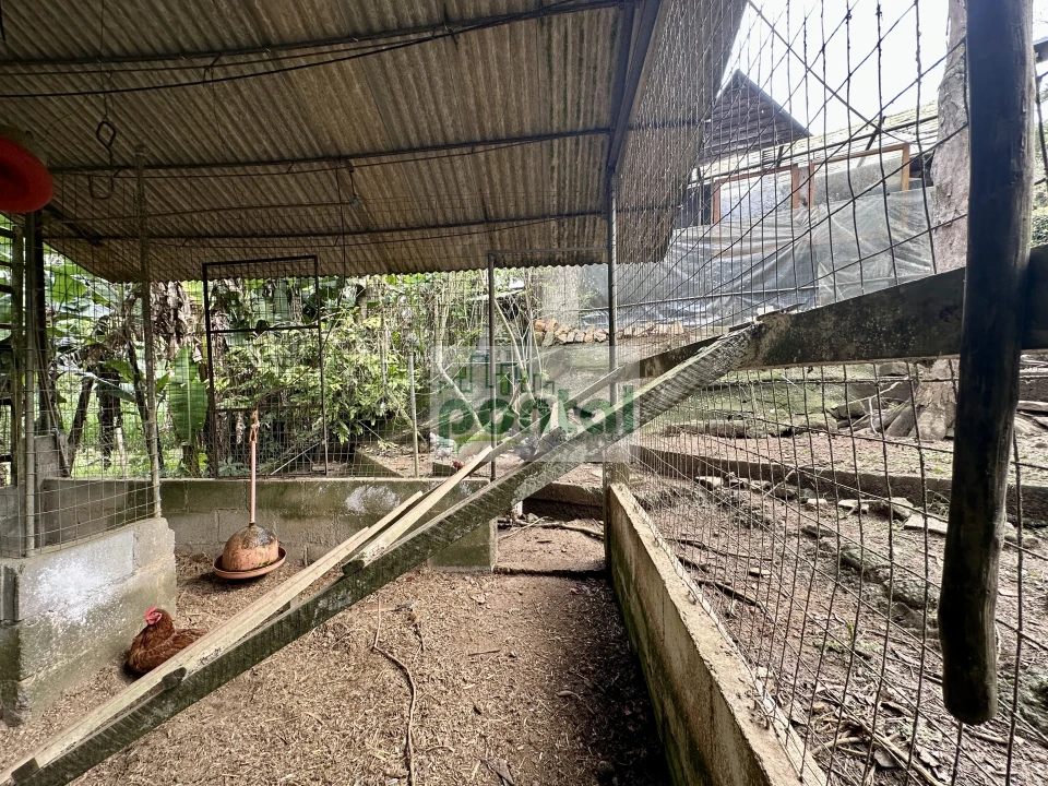 Imagens do imóveis Sítio à venda nas Braunes - Nova Friburgo
