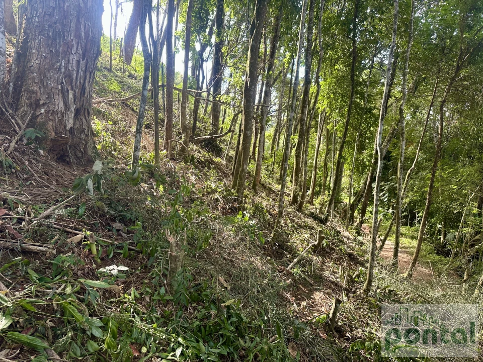 Imagens do imóveis Terreno À Venda Centro Nova Friburgo