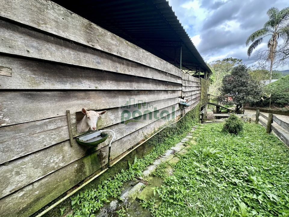Imagens do imóveis Sítio à venda nas Braunes - Nova Friburgo
