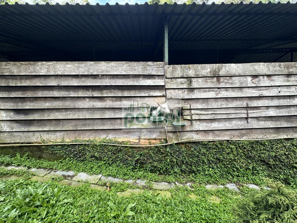 Imagens do imóveis Sítio à venda nas Braunes - Nova Friburgo