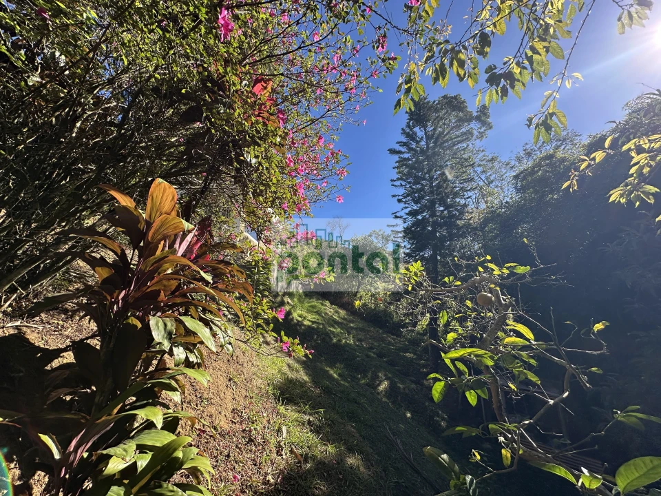 Casa À Venda Cascatinha Nova Friburgo