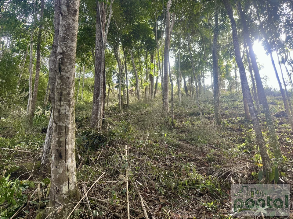 Imagens do imóveis Terreno À Venda Centro Nova Friburgo