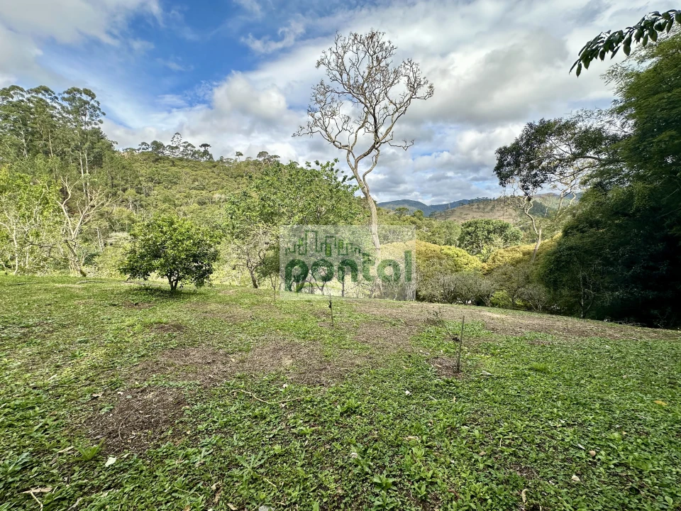 Imagens do imóveis Sítio à venda nas Braunes - Nova Friburgo
