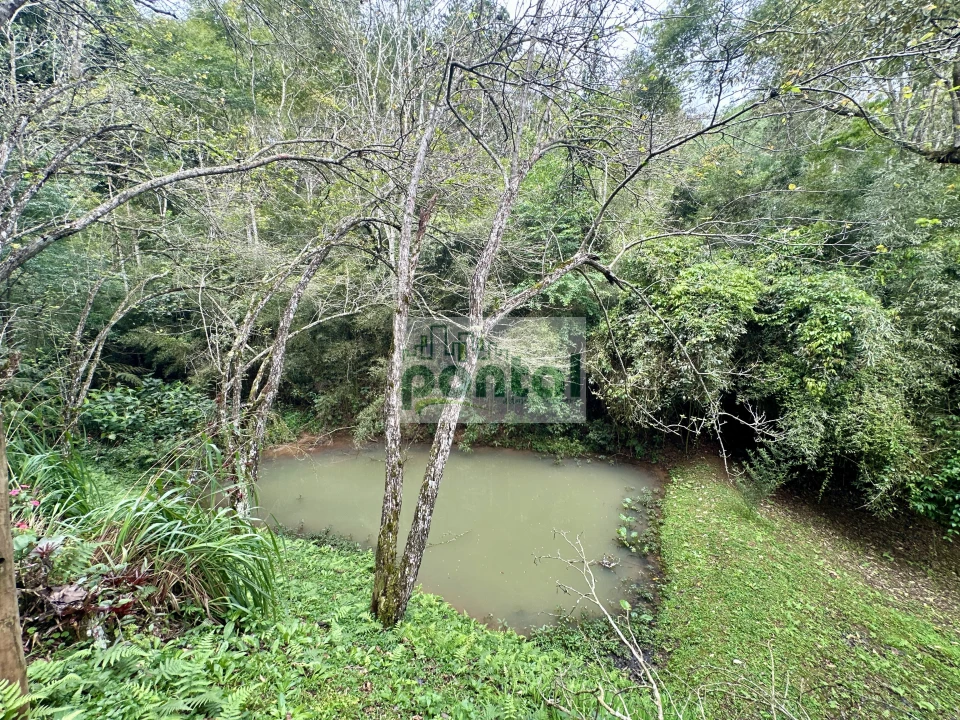 Imagens do imóveis Sítio à venda nas Braunes - Nova Friburgo