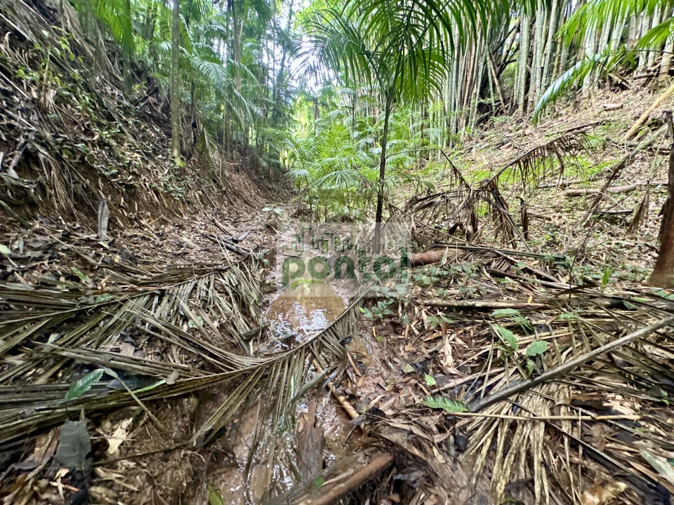 Imagens do imóveis Sítio à venda nas Braunes - Nova Friburgo