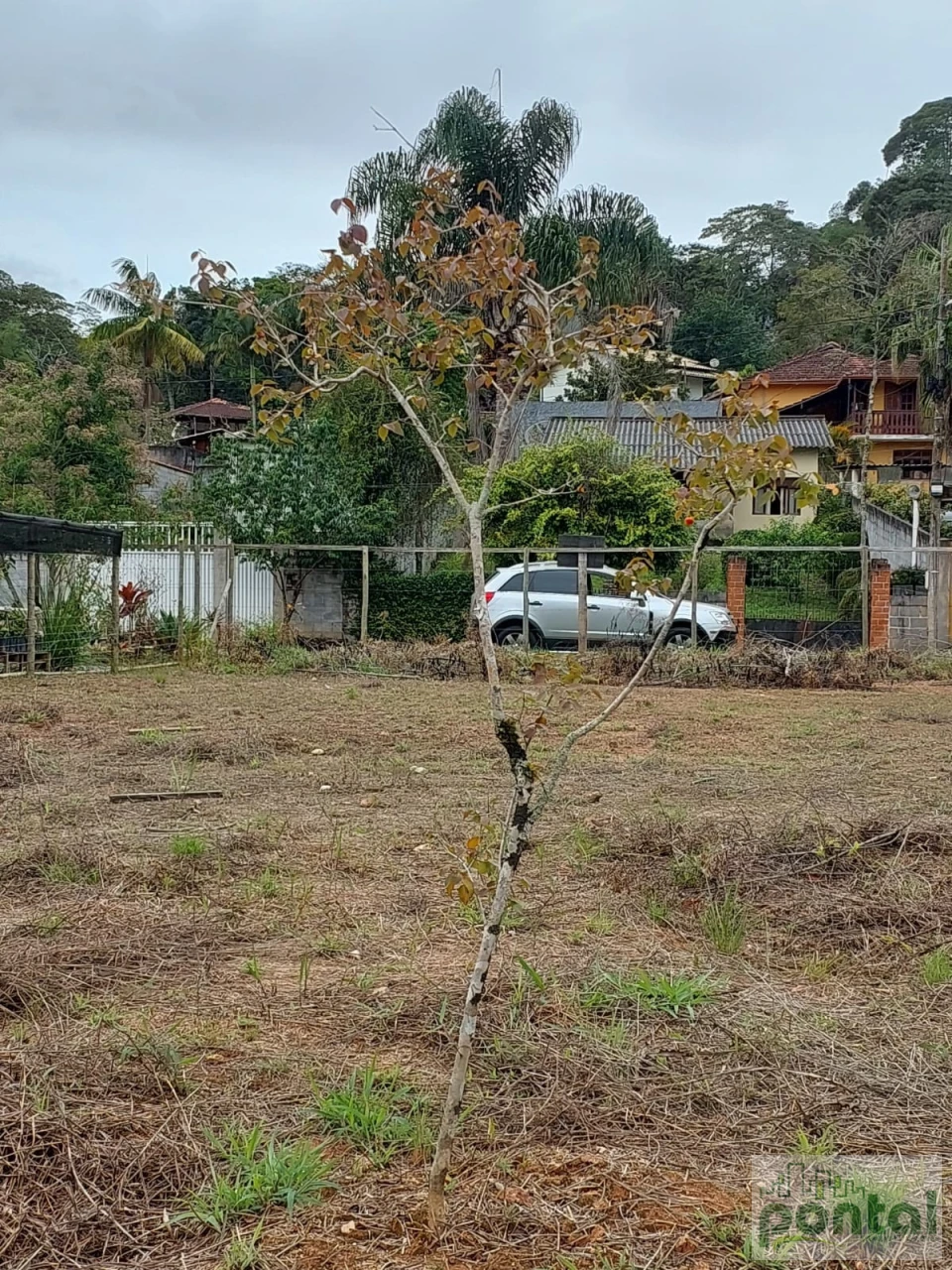 Terreno À Venda Varginha Nova Friburgo