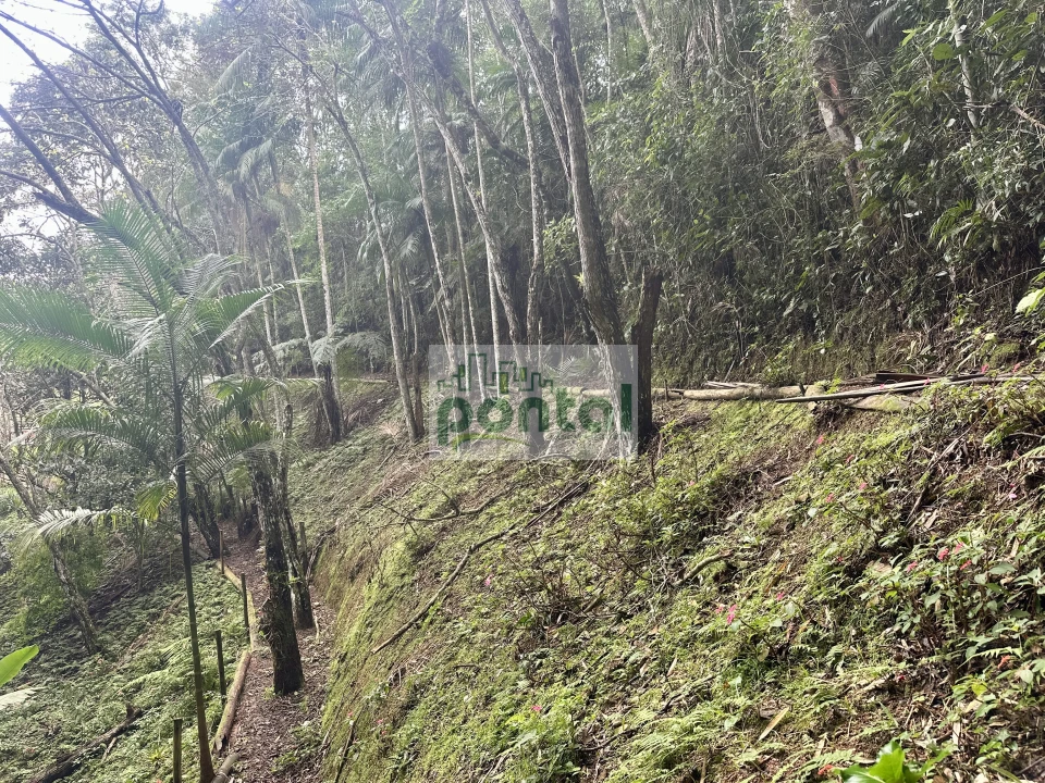 Imagens do imóveis Sítio à venda nas Braunes - Nova Friburgo