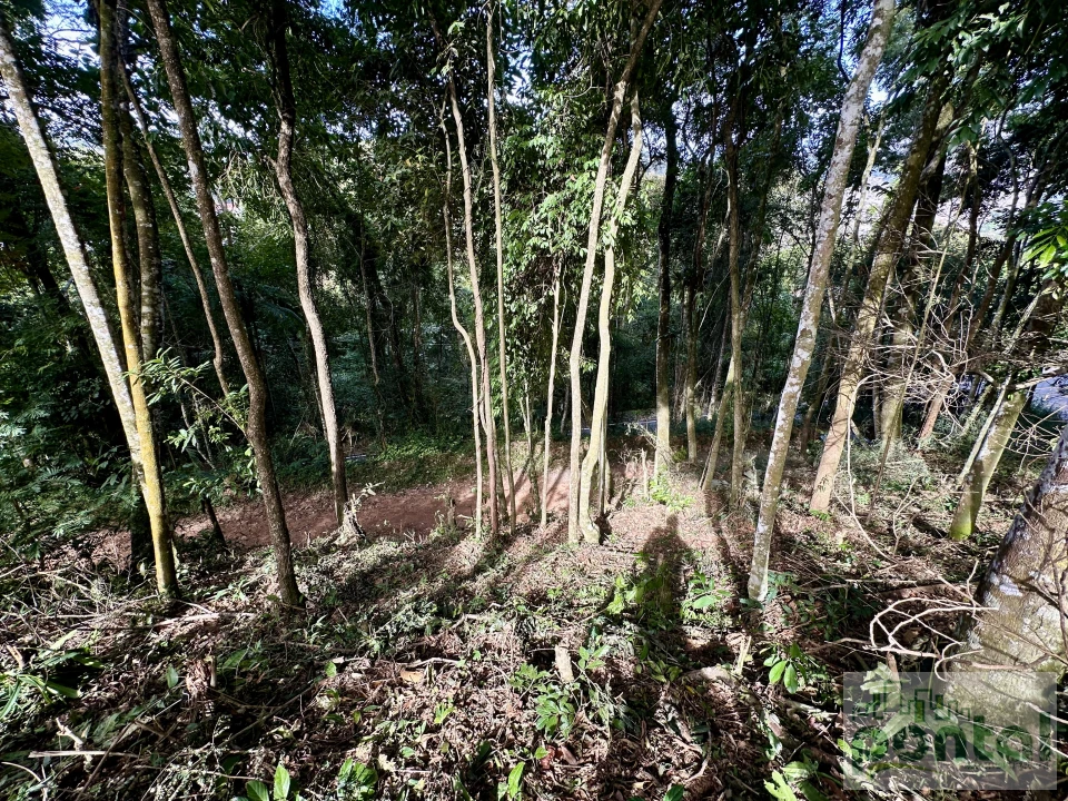 Imagens do imóveis Terreno À Venda Centro Nova Friburgo