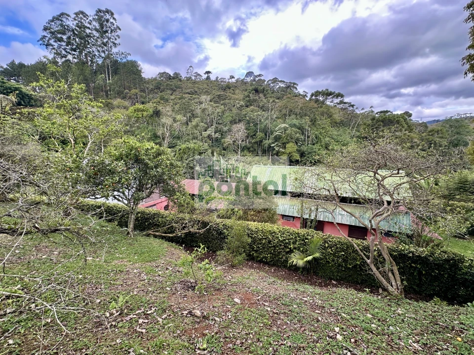 Imagens do imóveis Sítio à venda nas Braunes - Nova Friburgo