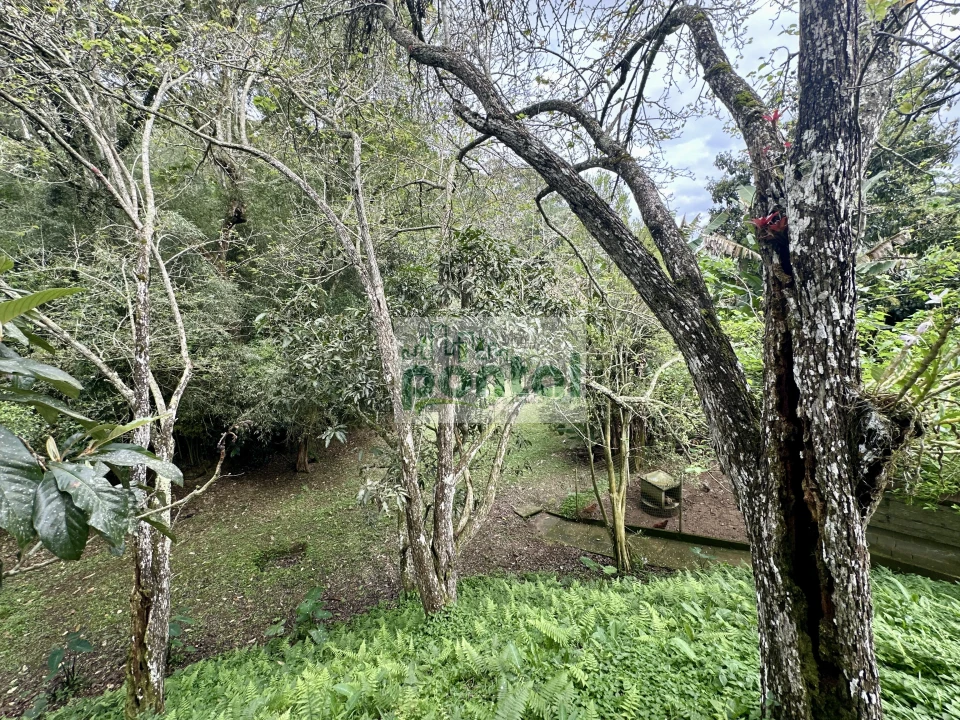 Imagens do imóveis Sítio à venda nas Braunes - Nova Friburgo