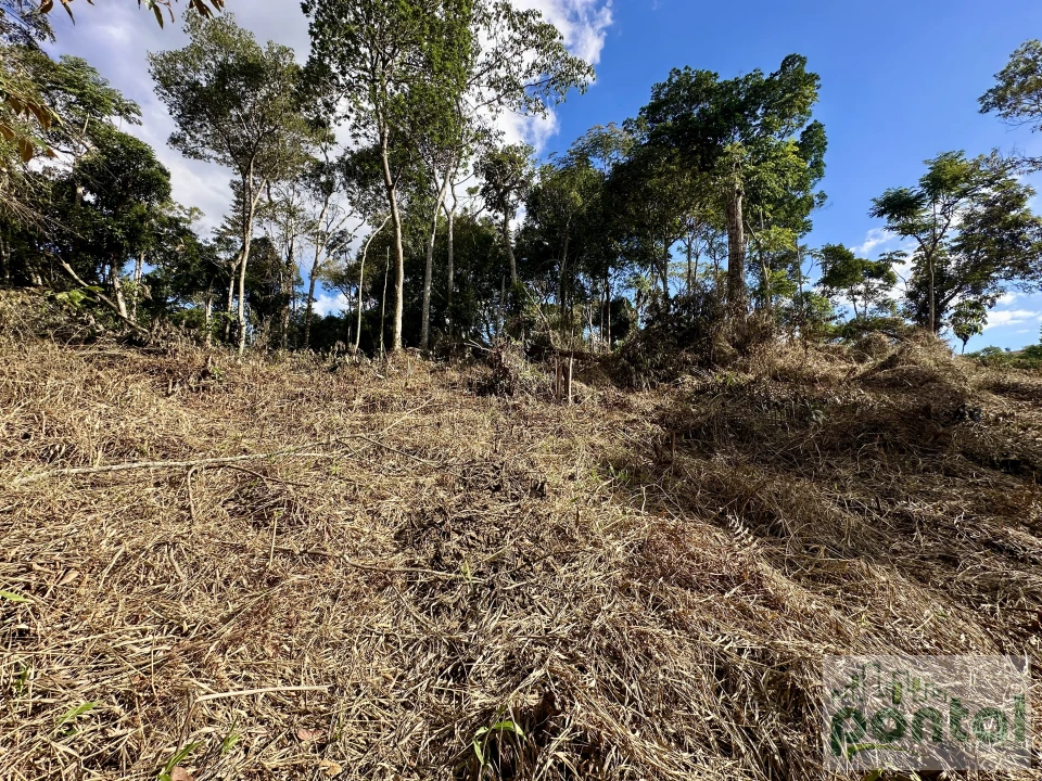 Terreno À Venda Chácara Paraíso Nova Friburgo