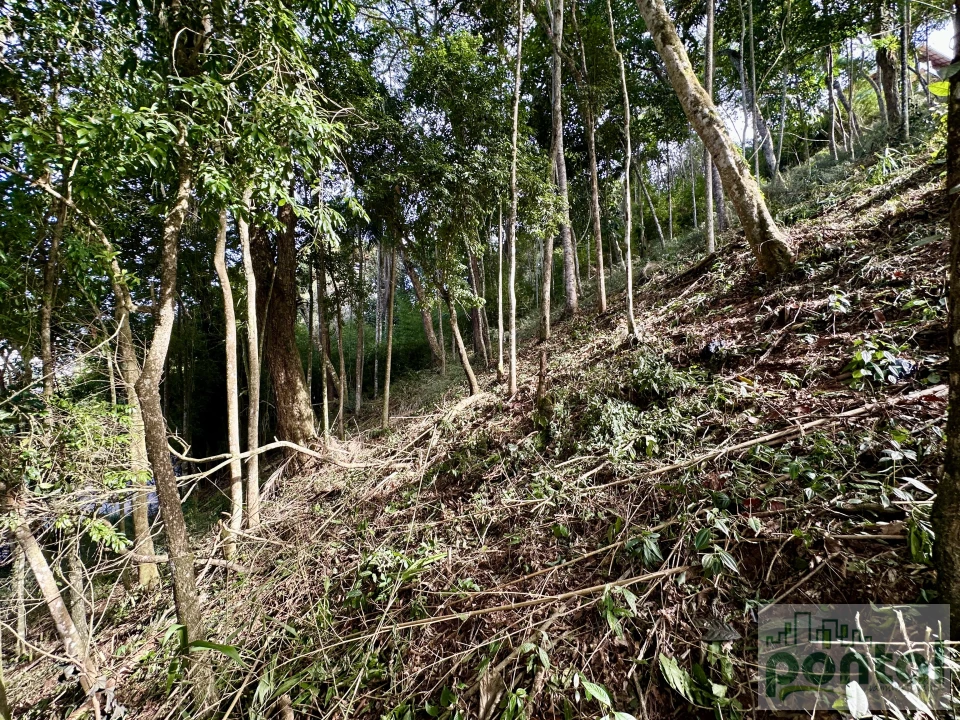 Imagens do imóveis Terreno À Venda Centro Nova Friburgo