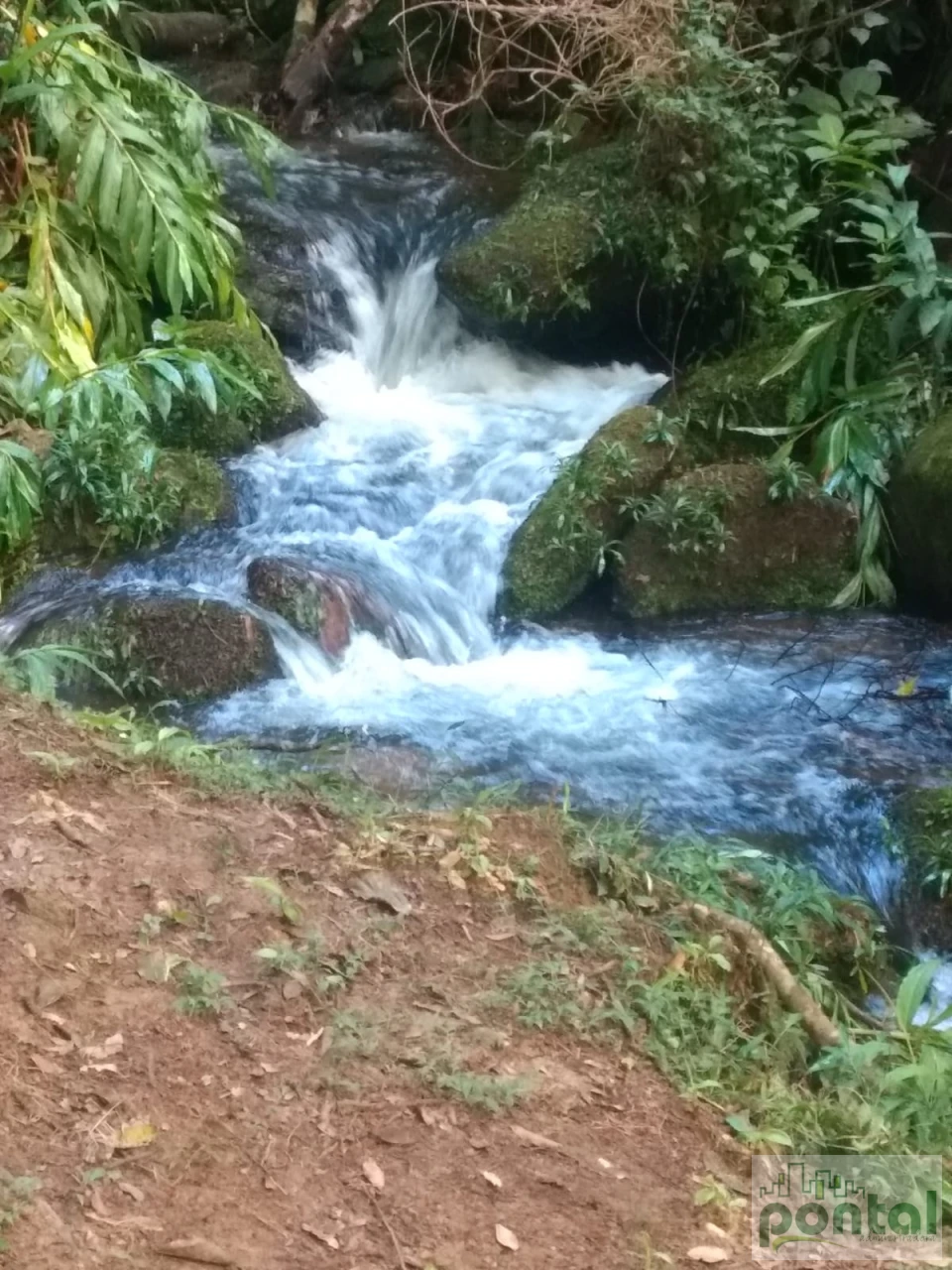 Fazenda/Sítios/Chácaras Á Venda Mury Nova Friburgo