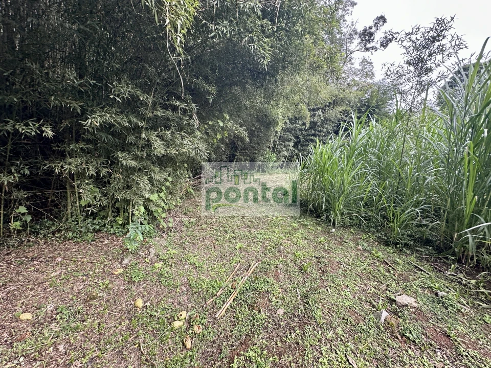 Imagens do imóveis Sítio à venda nas Braunes - Nova Friburgo