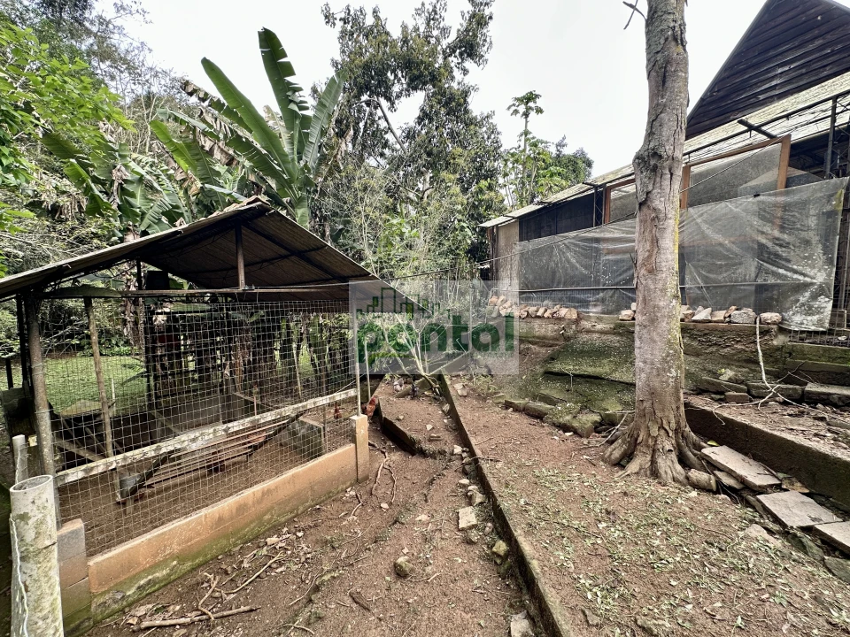 Imagens do imóveis Sítio à venda nas Braunes - Nova Friburgo
