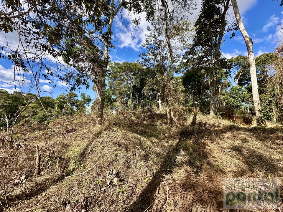 Terreno À Venda Chácara Paraíso Nova Friburgo