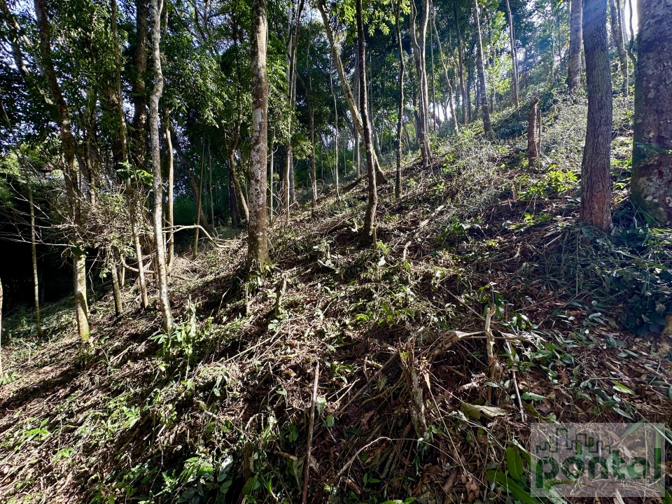 Imagens do imóveis Terreno À Venda Centro Nova Friburgo