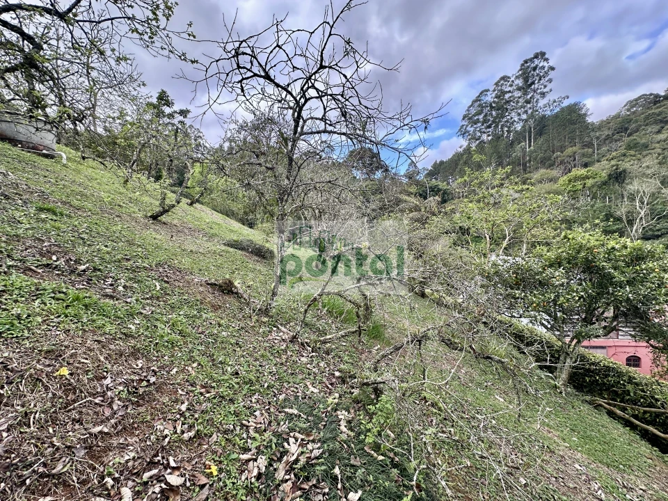 Imagens do imóveis Sítio à venda nas Braunes - Nova Friburgo