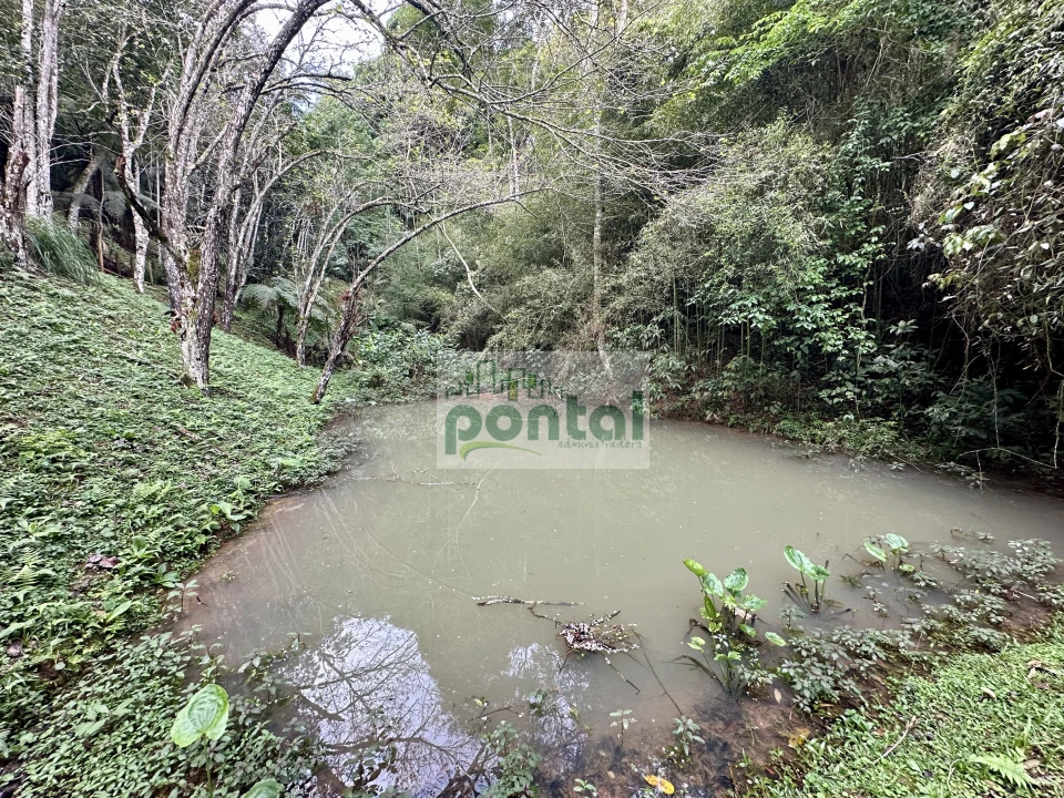 Imagens do imóveis Sítio à venda nas Braunes - Nova Friburgo