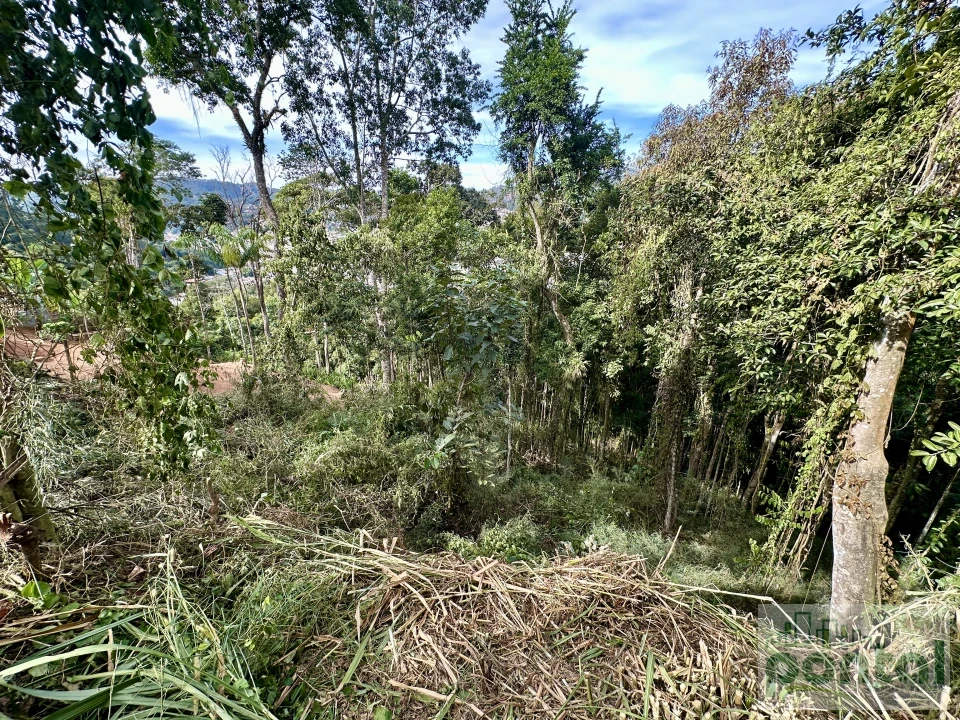 Imagens do imóveis Terreno À Venda Centro Nova Friburgo