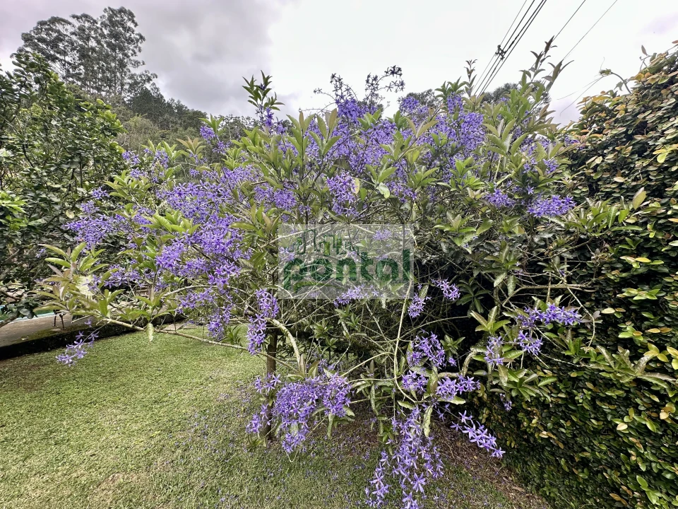 Imagens do imóveis Sítio à venda nas Braunes - Nova Friburgo