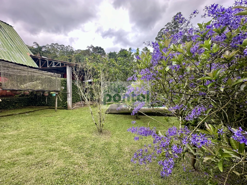 Imagens do imóveis Sítio à venda nas Braunes - Nova Friburgo