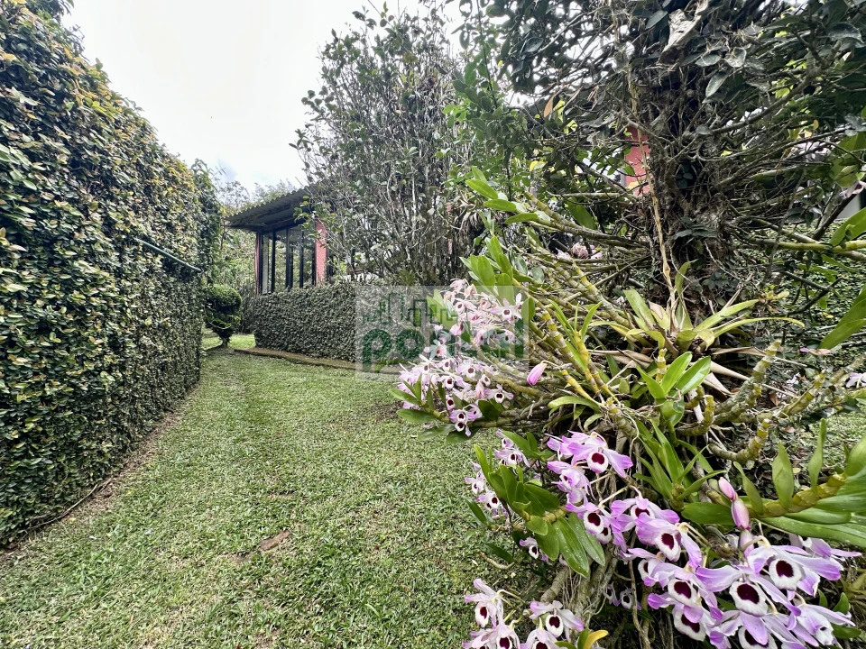 Imagens do imóveis Sítio à venda nas Braunes - Nova Friburgo
