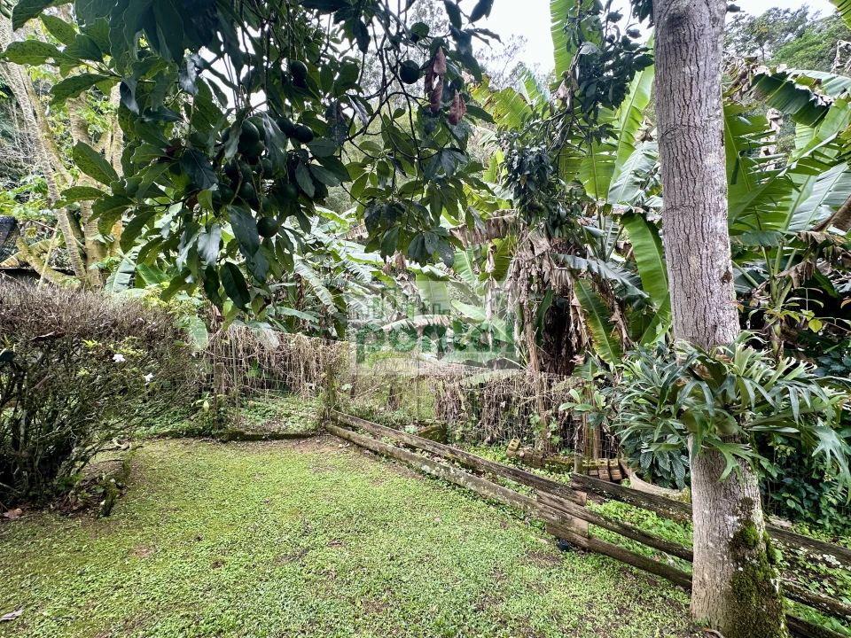 Imagens do imóveis Sítio à venda nas Braunes - Nova Friburgo