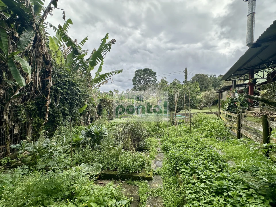 Imagens do imóveis Sítio à venda nas Braunes - Nova Friburgo