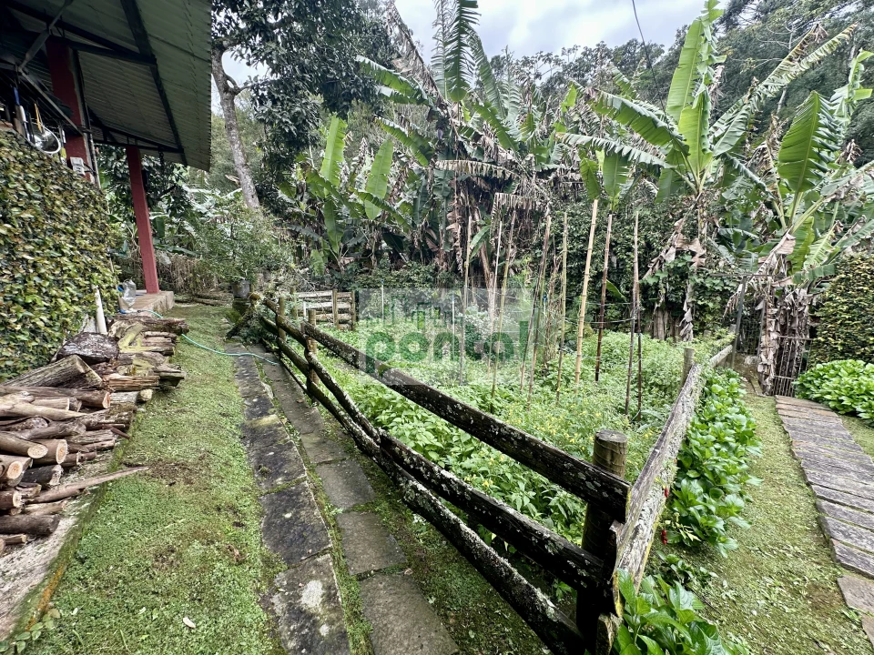 Imagens do imóveis Sítio à venda nas Braunes - Nova Friburgo