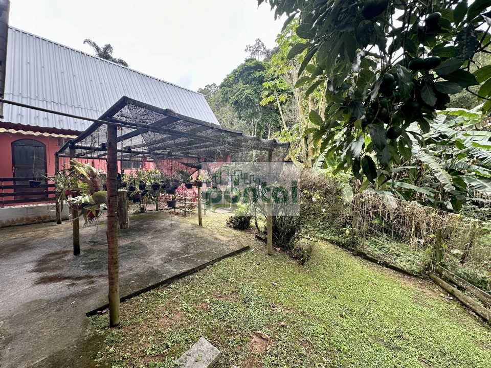Imagens do imóveis Sítio à venda nas Braunes - Nova Friburgo