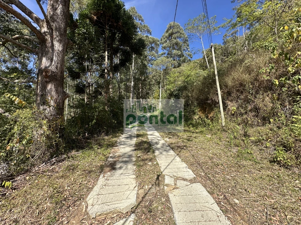 Terreno À Venda Cascatinha Nova Friburgo