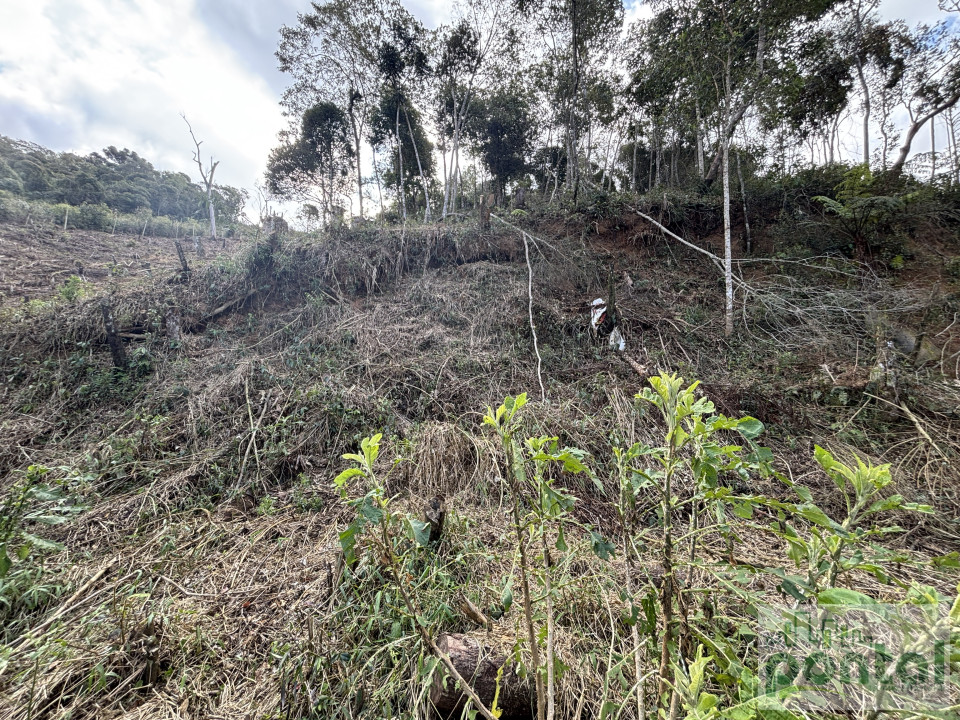 Terreno Á Venda Varginha Nova Friburgo