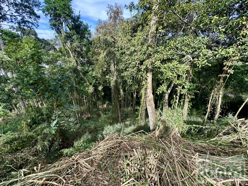Imagens do imóveis Terreno À Venda Centro Nova Friburgo