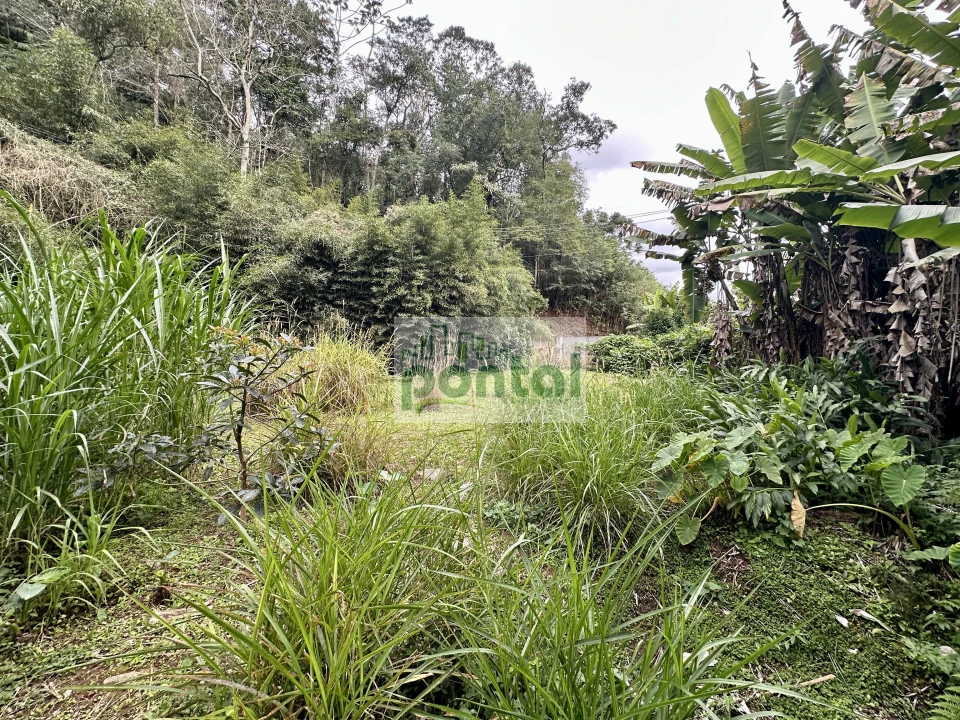 Imagens do imóveis Sítio à venda nas Braunes - Nova Friburgo