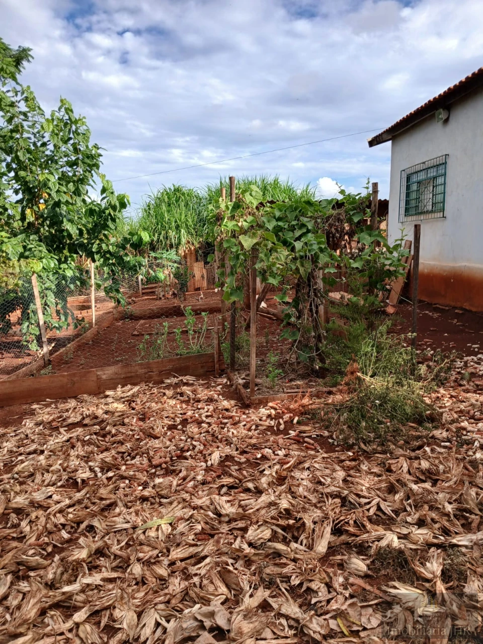 Imagens do imóveis CHACARA