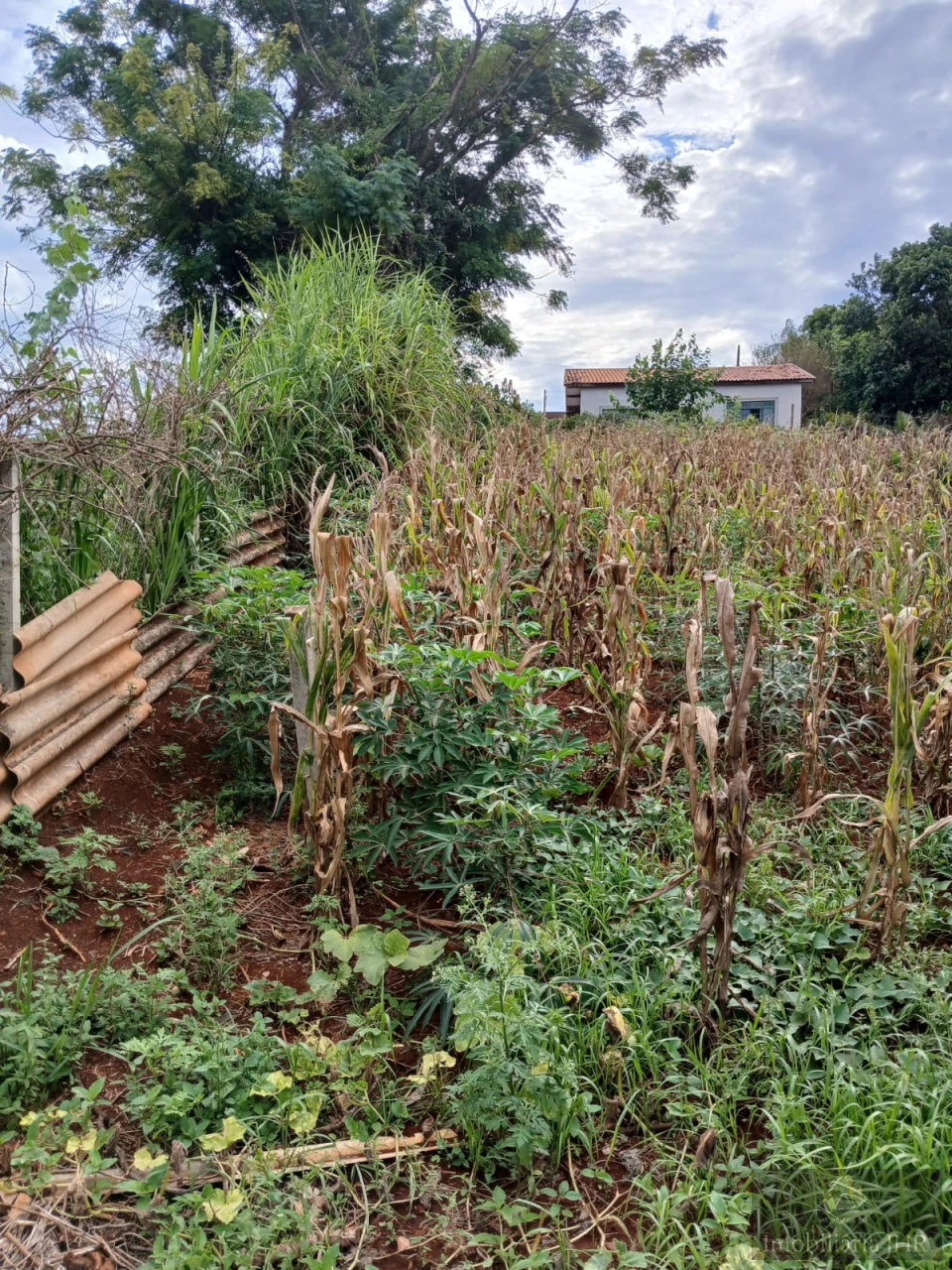 Imagens do imóveis CHACARA