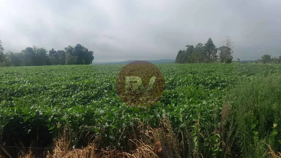 VENDA-R$2.500.000,00- 1,5 ALQUEIRES- Estrada do Limoeiro ao lado da Fazenda Mores