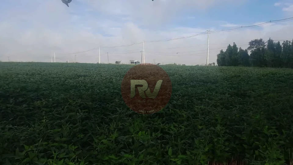 VENDA-R$2.500.000,00- 1,5 ALQUEIRES- Estrada do Limoeiro ao lado da Fazenda Mores