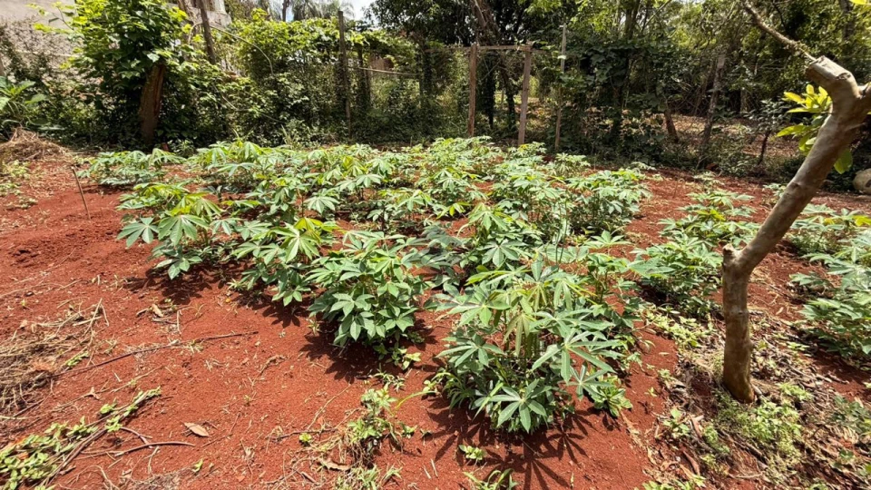 Imagens do imóveis CHÁCARA À VENDA EM LONDRINA