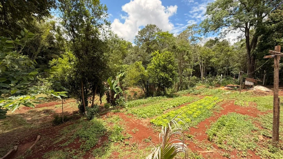 Imagens do imóveis CHÁCARA À VENDA EM LONDRINA