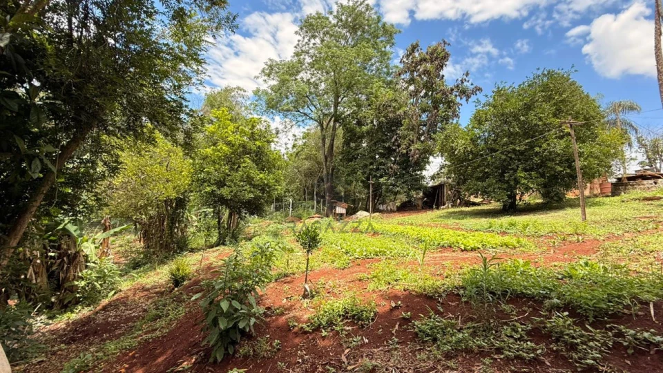 Imagens do imóveis CHÁCARA À VENDA EM LONDRINA