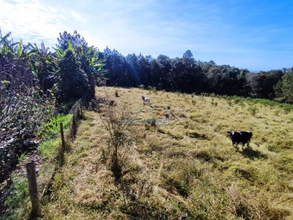 Imagens do imóveis Sitio Tamarana - PR