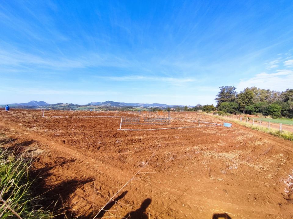 Imagens do imóveis Sitio Tamarana - PR