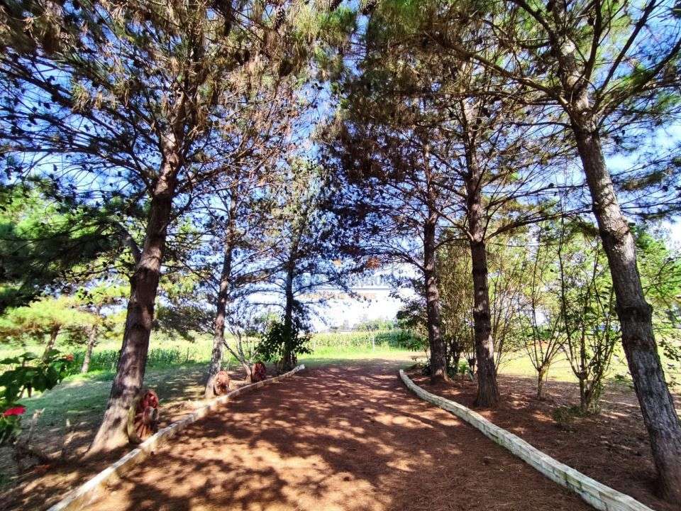 Imagens do imóveis Sitio Tamarana - PR