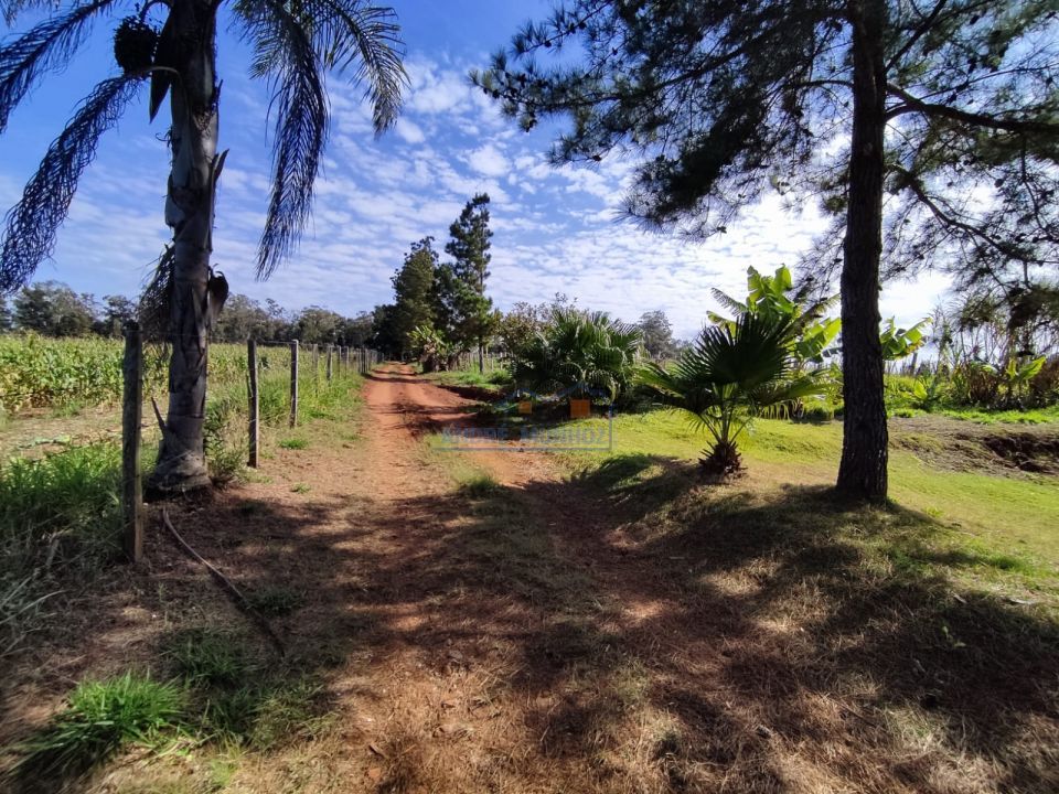 Imagens do imóveis Sitio Tamarana - PR
